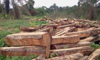 KOSSO WOOD