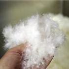 Washed white duck feather in 2cm-4cm