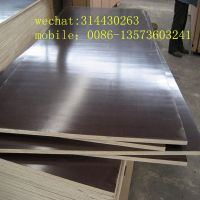 18mm black or brown film faced plywood for construction