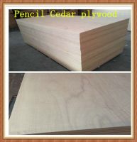 1220x2440mm pencil cedar plywood  for furniture