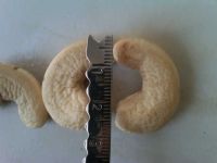 Raw Cashew Nuts