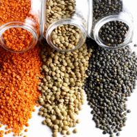 Canadian Lentils