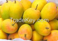 Alphonso Mangoes