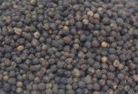 PRICE OF VIETNAM BLACK PEPPER