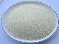 Garlic Granuels