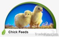 Chick Feeds