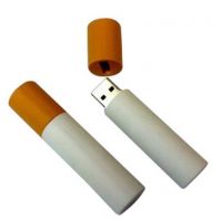 Customized Flash Drive Usb,8GB Plastic LOGO Usb Flash Memory