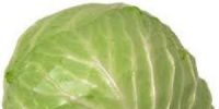 CABBAGE