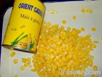 sweet corn in tin