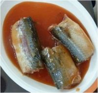Canned Sardines Oil