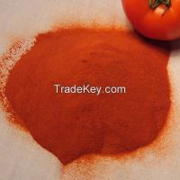 Spray dried tomato powder, SD tomato powder, Tomato powder,  seasoning tomato powder,  40 mesh tomato powder, high quality tomato powder