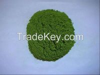 dried spinach powder