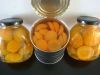 Canned Apricot Halves