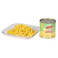 Best Competitive Price Fresh Corn Canned Sweet Corn Mais with OEM ODM