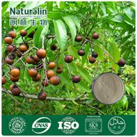 Soap Nut Extract