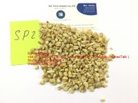 Cashew nut SP2