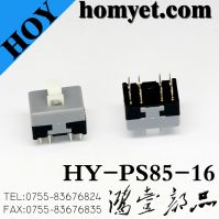 High Quality 6 Pin Key Switch with DIP Type (Hy-PS85-16)