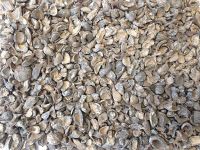 Palm Kernel Shells