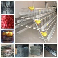 https://fr.tradekey.com/product_view/2014-New-Chicken-Cage-6633880.html