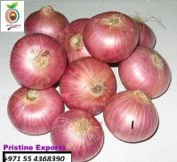 Onion