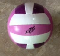 Volley ball, Beach ball, Promotional ball