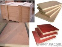 Best price okoume/bingtangor/pencil cedar/red hardwood commercial plyw