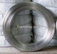 stainless steel wire / SS wire