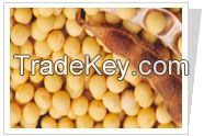 Soybean P.E.