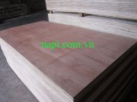 Vietnam High Quality Plywood from Vietnam
