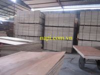 Vietnam Best Price Plywood for Japan Market