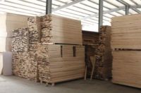 Paulownia Wood Board Sawn Timber