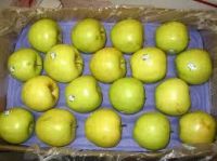 Fresh Golden Delicious  Apples for sale 