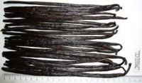 Vanilla  Beans for sale