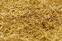  Rice Bran for sale 