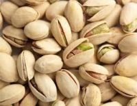 Pistachio Nuts  for sale 