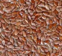  linseeds for sale  