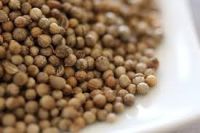 coriander  seed for sale  