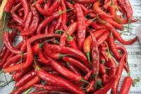 dry red Chilli for sale 