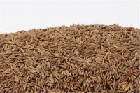 Caraway Seeds