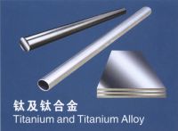 Ti and Titanium alloy Ingot, plate slab