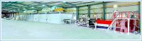 XPE Chemical Crosslink Pe Foam Production Line