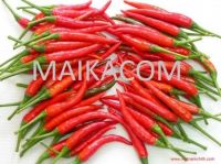 Vietnam Fresh Red Chili