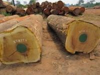 Timber logs,sawn timber.