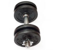 Free weight painted dumbbell