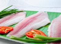 Frozen Untrimmed Pangasius Fillet