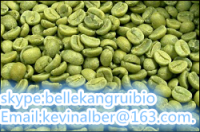 Hot Selling Organic Green Coffee Bean Extract