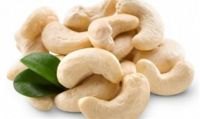 Vietnam cashew nut, cashew kernel best quality