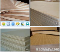 Pine plywood , plywood glue , plywood vietnam , 1220mmx2440mm, poplar