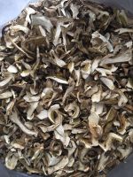 https://es.tradekey.com/product_view/Dried-King-Bolete-Porcini-Mushroom-6719631.html