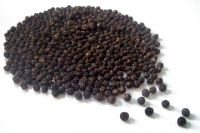 Black Pepper